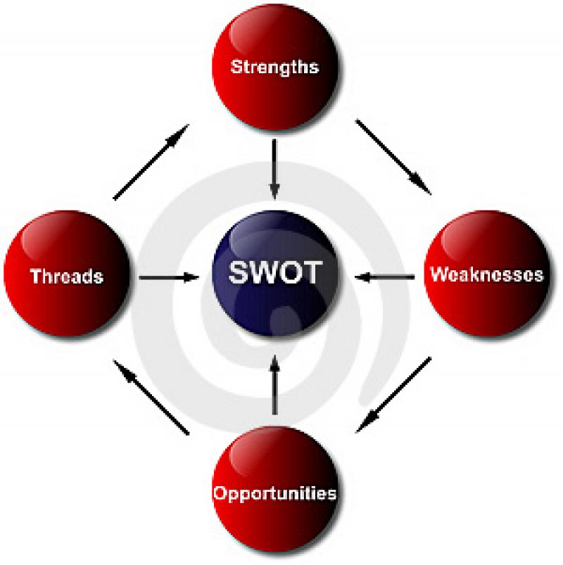 Financial and Strategic SWOT Analysis 