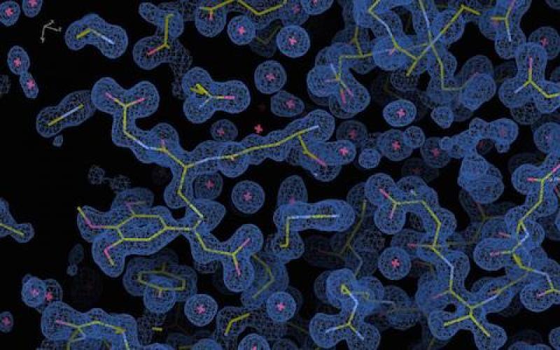 Syrosingopine Industry