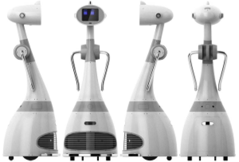 Telepresence Robots
