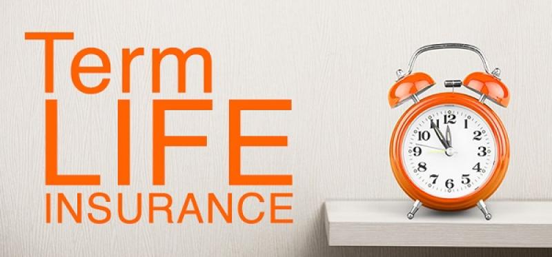  Term Life Insurance Market