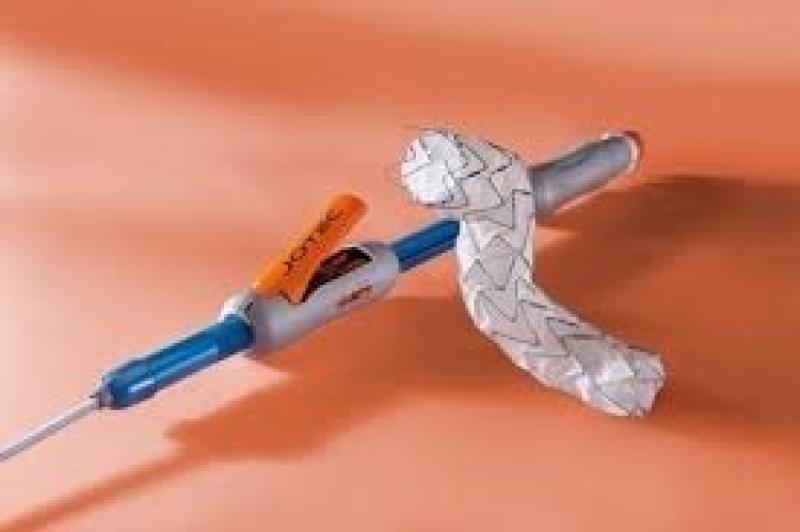 Thoracic Aortic Stent Graft