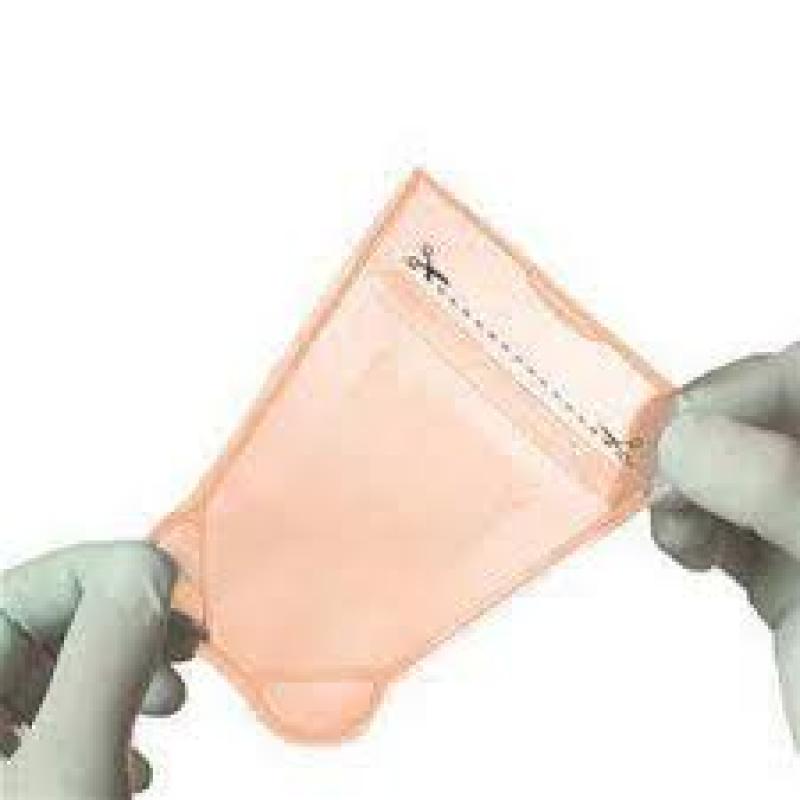 Tissue Engineered Skin Substitutes 