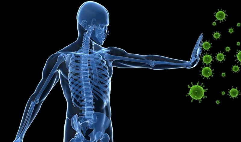 Tissue Engineering and Regeneration Market