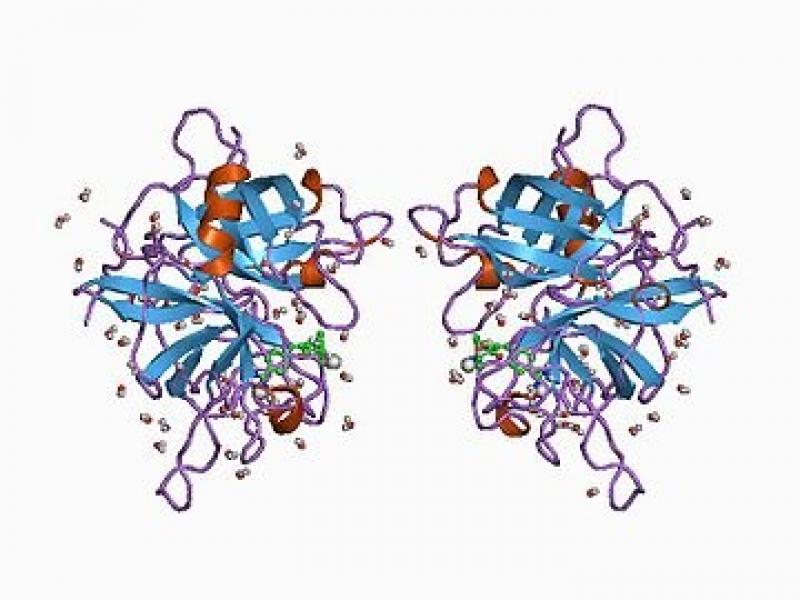 Tissue Plasminogen Activator Market