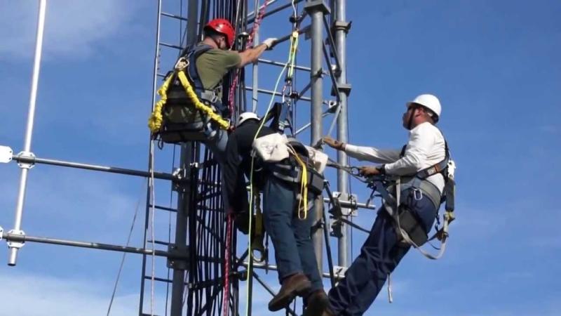 Tower Management Software