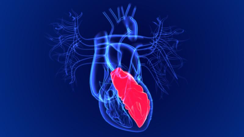 Transthyretin Amyloid Cardiomyopathy Treatment Market