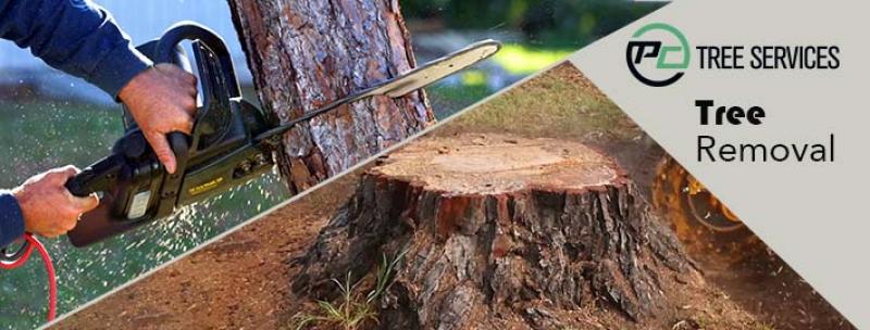 Tree Removal Melbourne