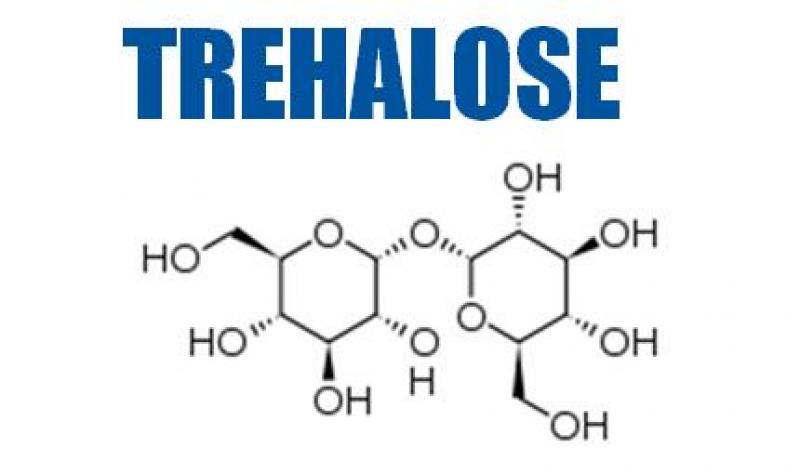 Trehalose