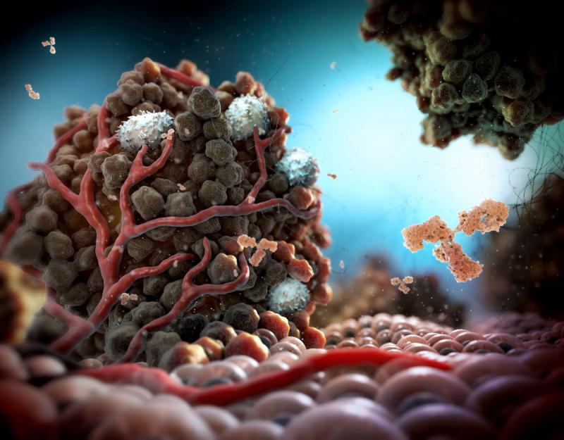 Tumor Microenvironment 