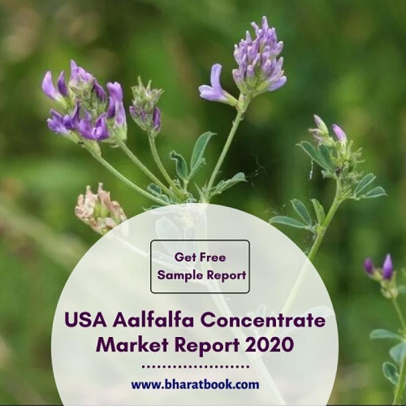 USA Aalfalfa Concentrate Market