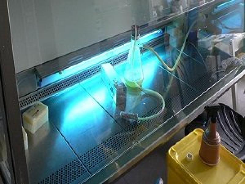 UV light stabilizers Market