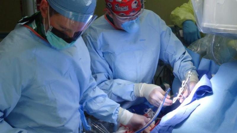 Ultrasonic Tissue Ablation System