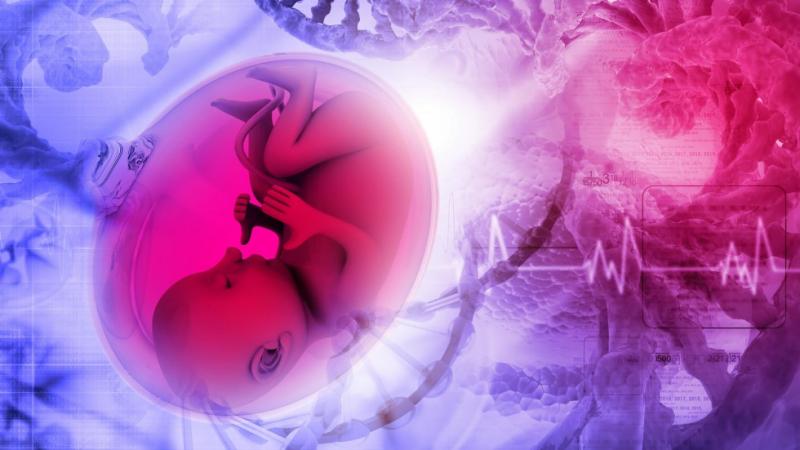 United States Non-Invasive Prenatal Testing (NIPT) Market