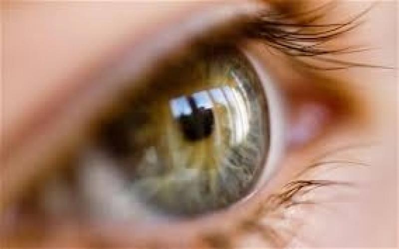 Usher Syndrome Threapeutics 