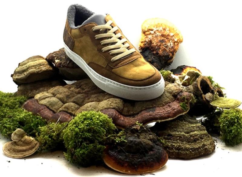 Vegan Footwear Market