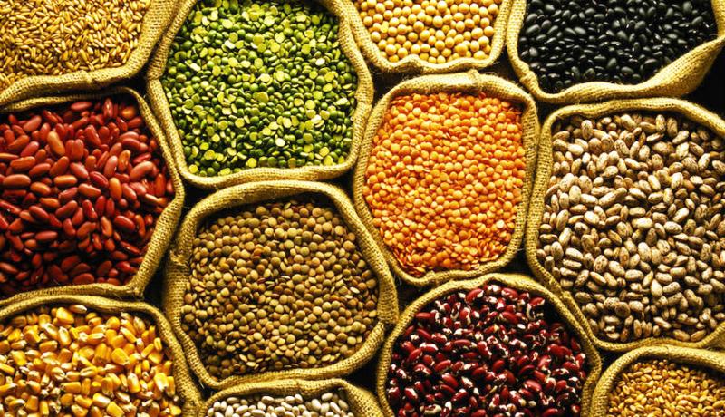 Vegetable Seed Market 