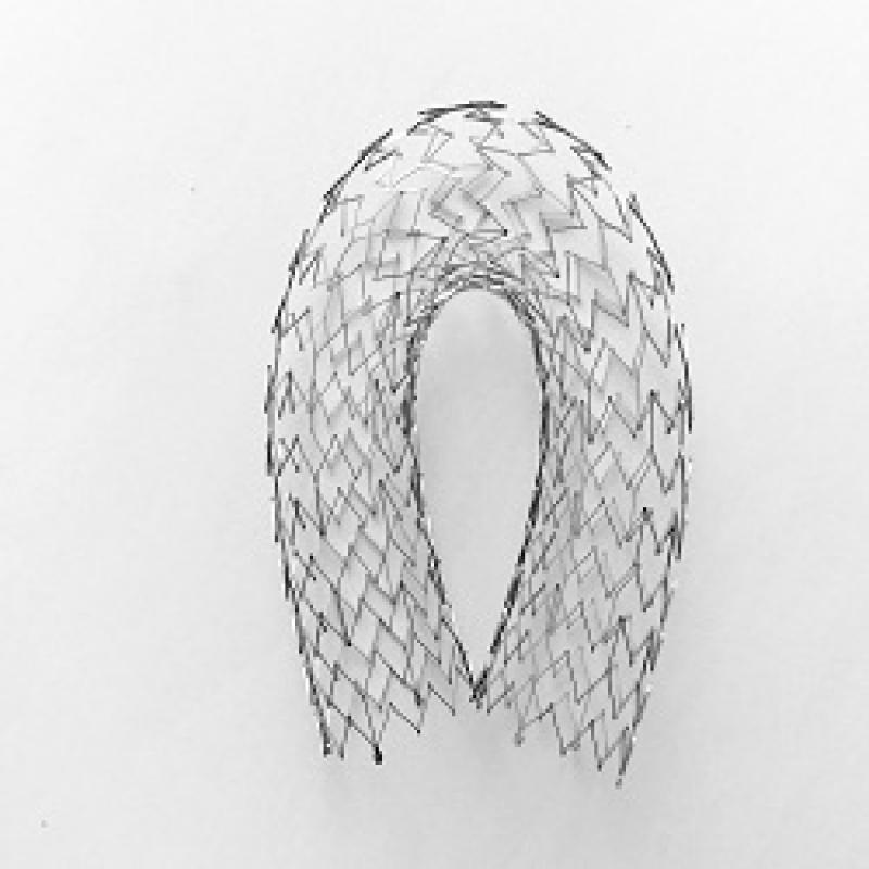 Venous Stents Sales