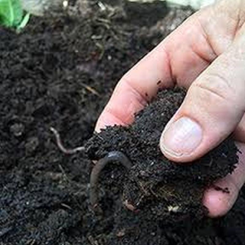 Vermicompost Industry
