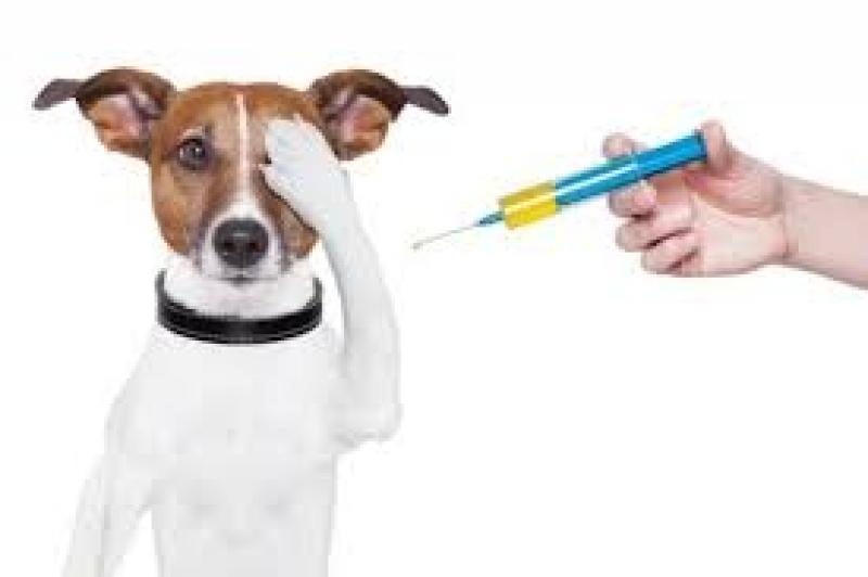 Vero Cell Rabies Vaccine, Vero Cell Rabies Vaccine Market, Vero Cell Rabies Vaccine Market Growth