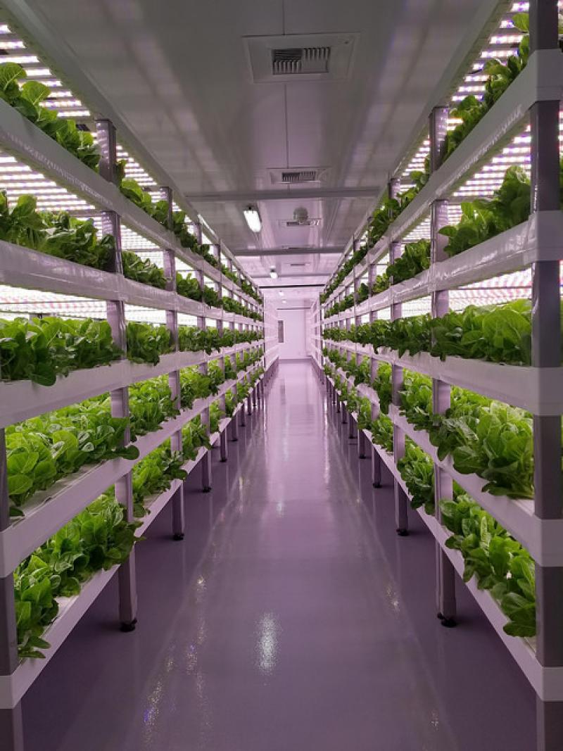 Vertical Farming