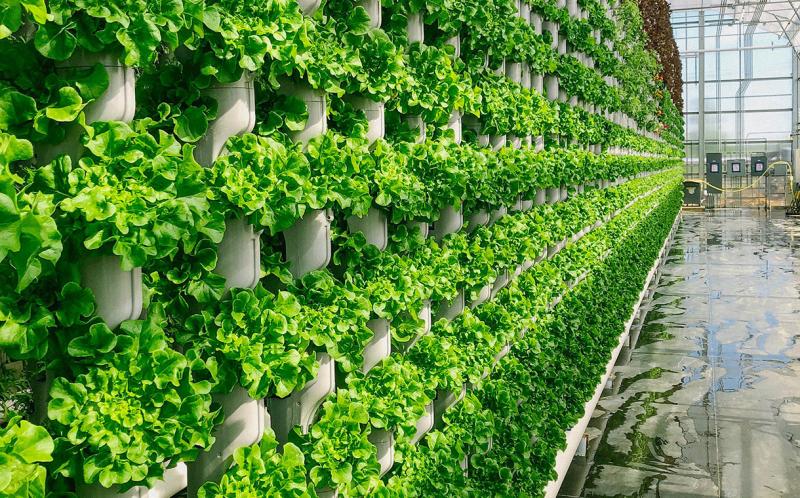 Vertical Farming