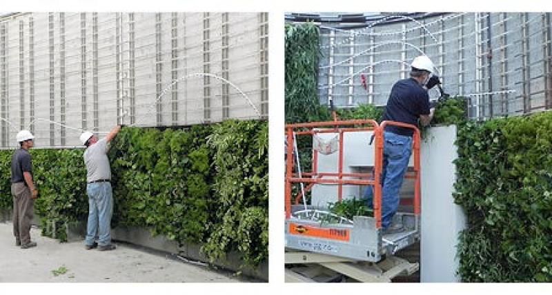 Vertical Garden Constructions Market