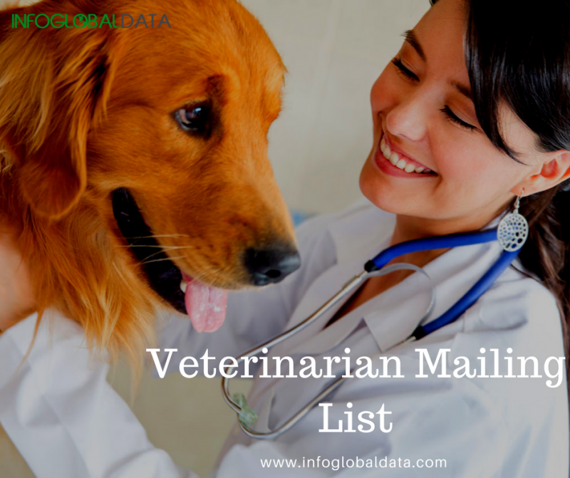 Veterinarian Mailing List