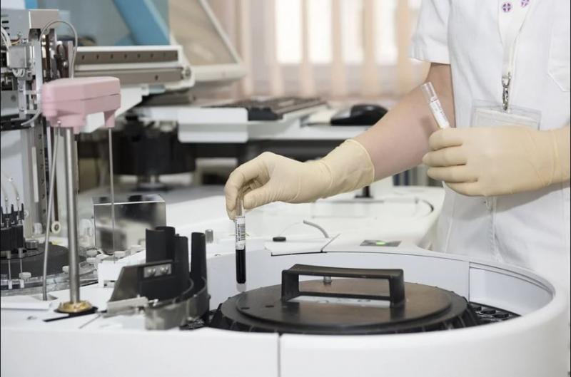 Veterinary Laboratory Testing Services Market Size, Share, Growth And Trends
