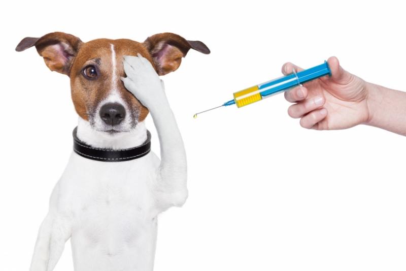 Global Veterinary Vaccines Market