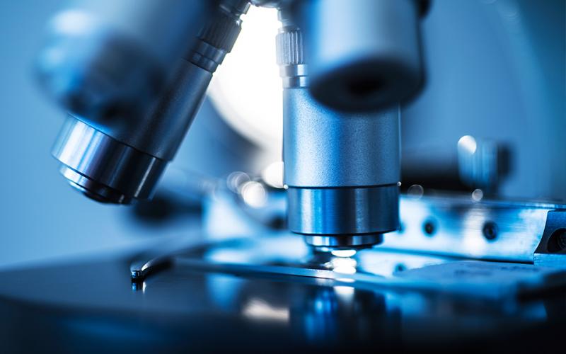 Viral Vector Development Service