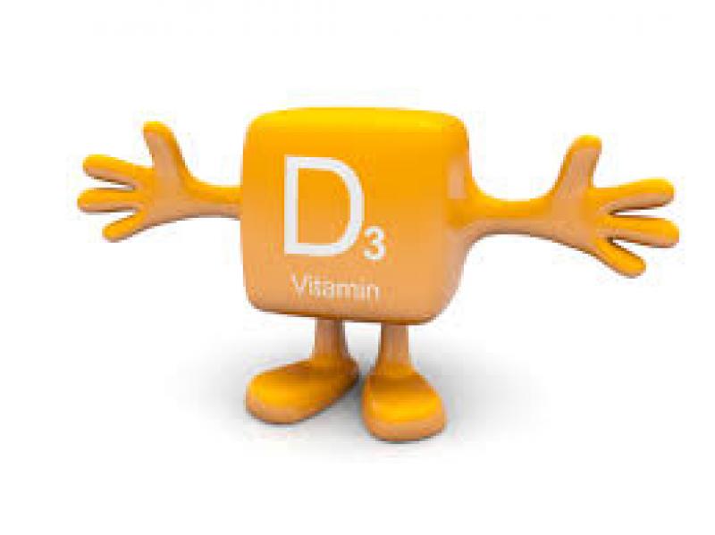 Vitamin D3 Market
