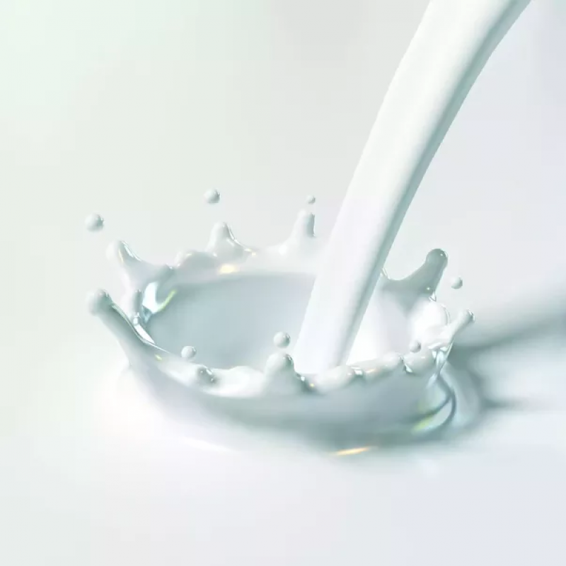 Water Based Adhesive
