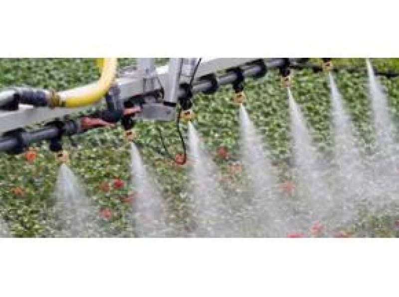 Water Soluble Fertilizers market