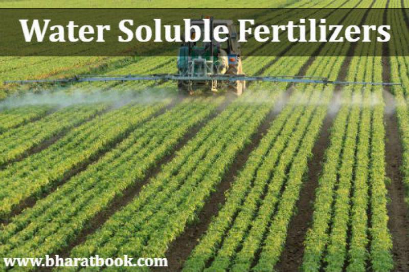 Water Soluble Fertilizers