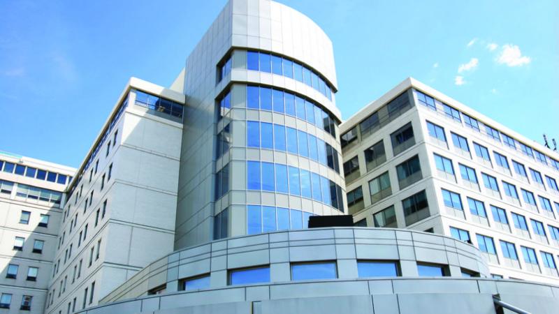 Waterborne Intumescent Coatings Market 