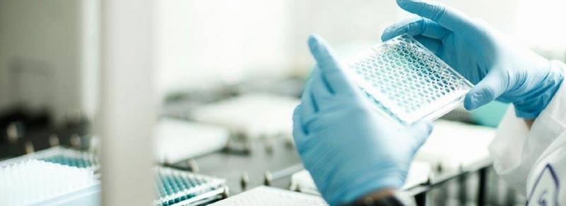 White Biotechnology Market