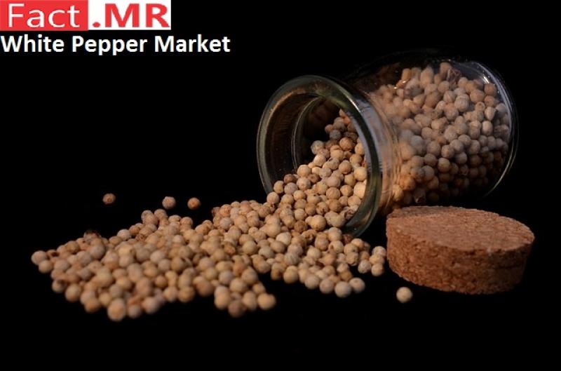 White Pepper Market- Fact.MR