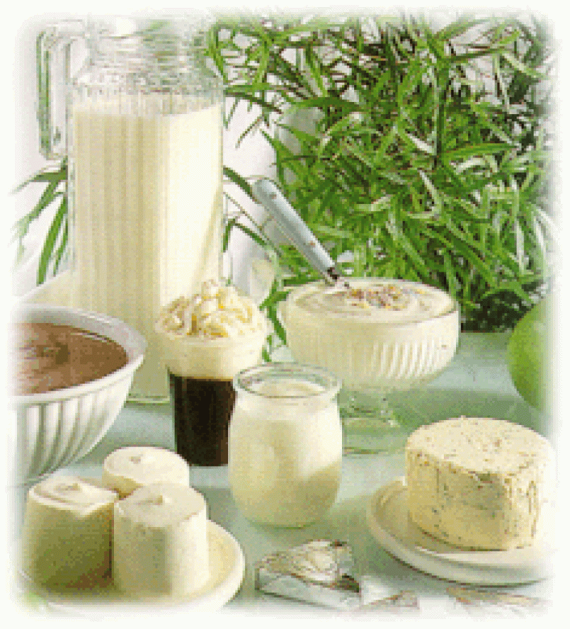 Whole Yogurt Powder 