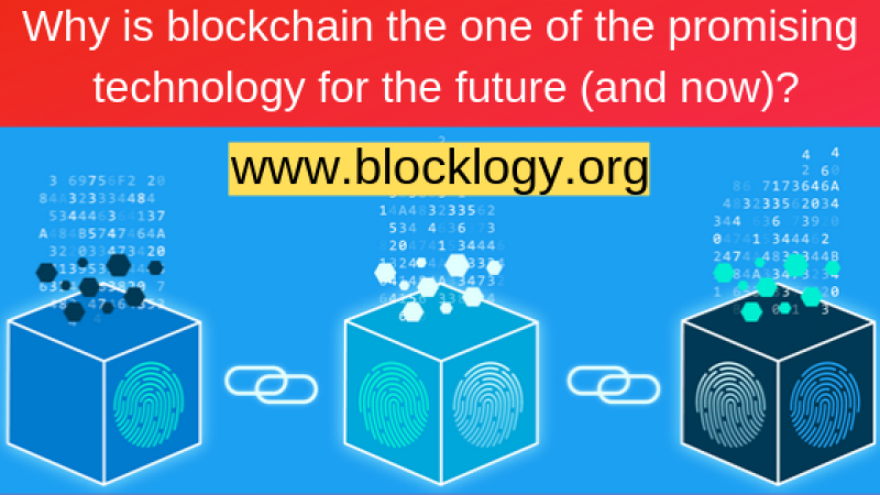 blockchain programming
