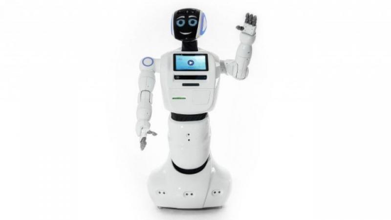 World Service Robot Industry