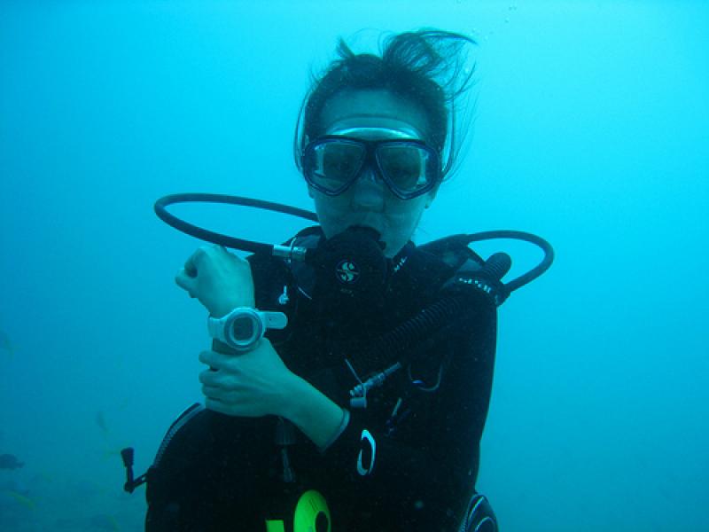 Wrist Dive Computers Market 