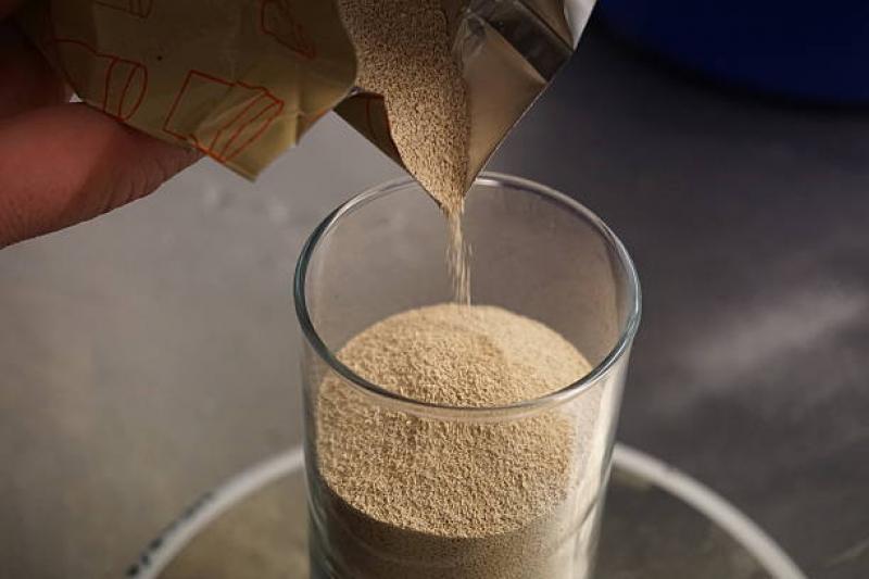Yeast Powder Market 