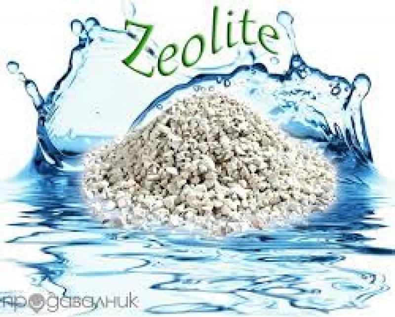 Zeolite Market 