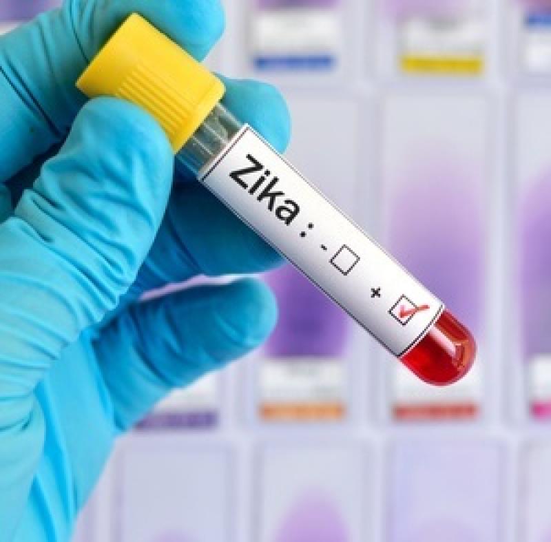 Zika Virus Vaccines