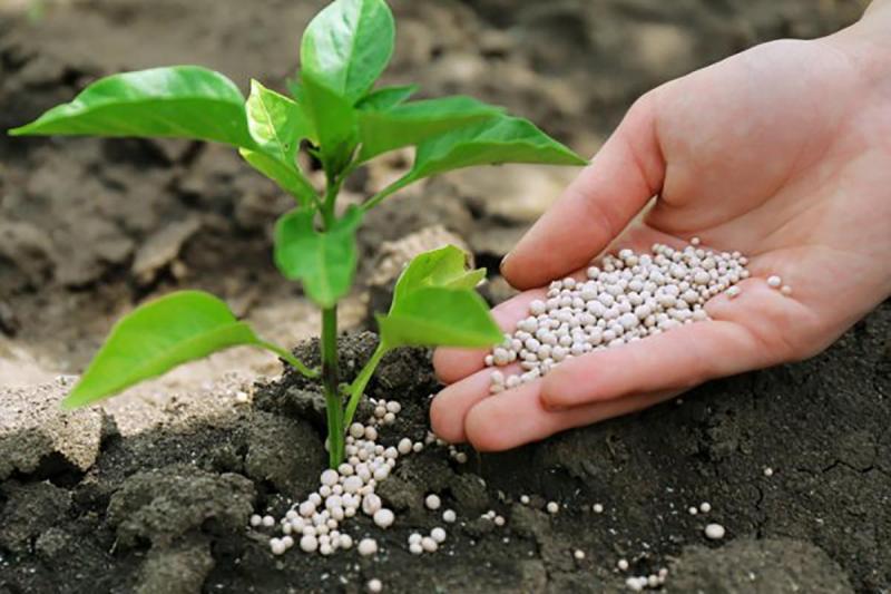 Agricultural Micronutrients Market