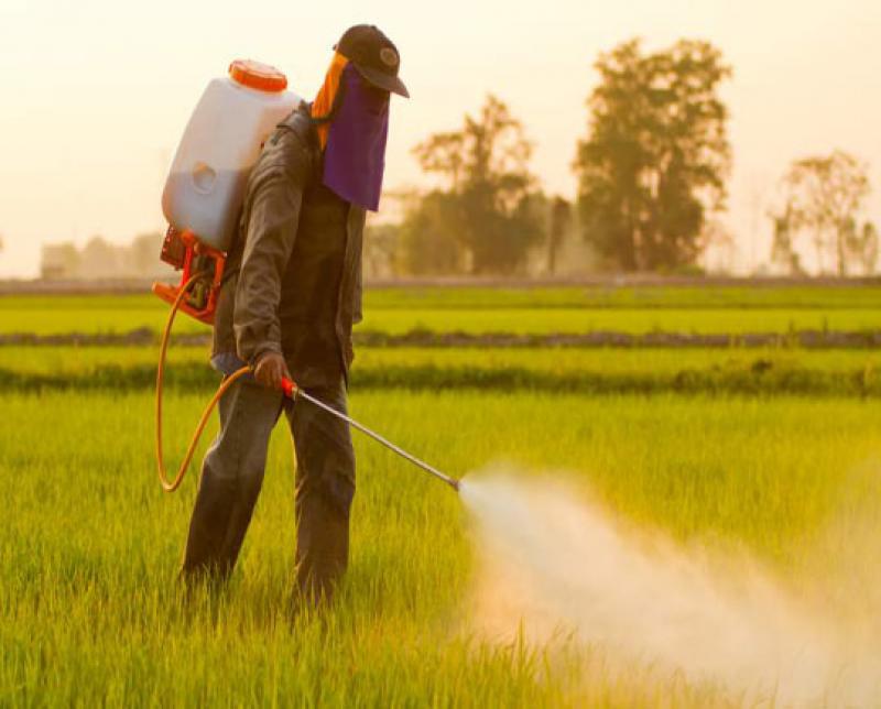 Agrochemicals Market 