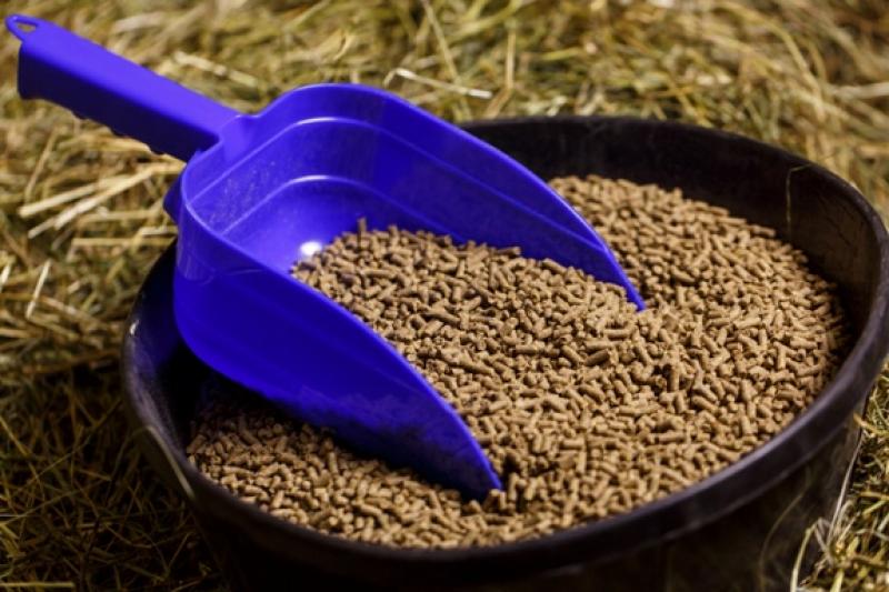 Feed Amino Acids Market