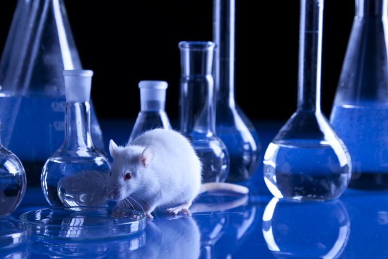 Global Animal Biotechnology