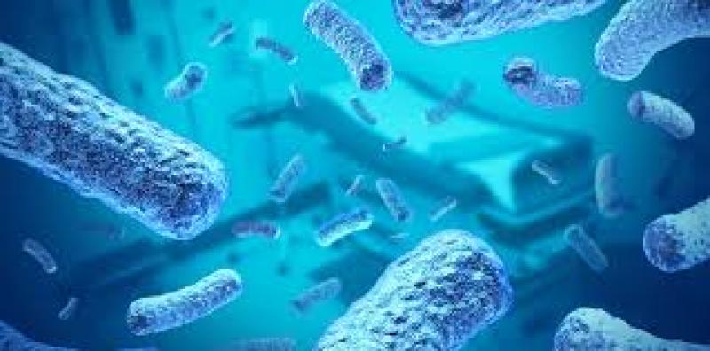 Antimicrobial Coating Market Industry Report and Forecast 2019-2024