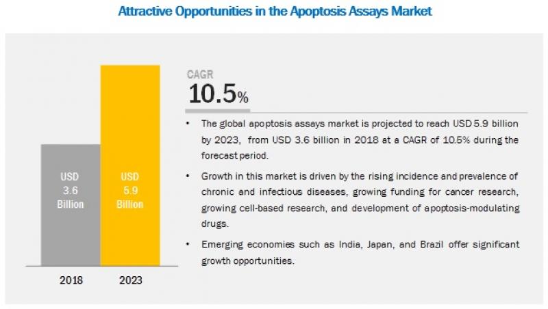  Apoptosis Assays Market